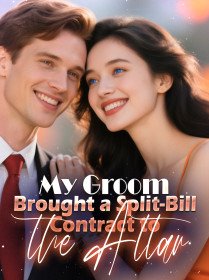 My Groom Brought a Split-Bill Contract to the Altar novel